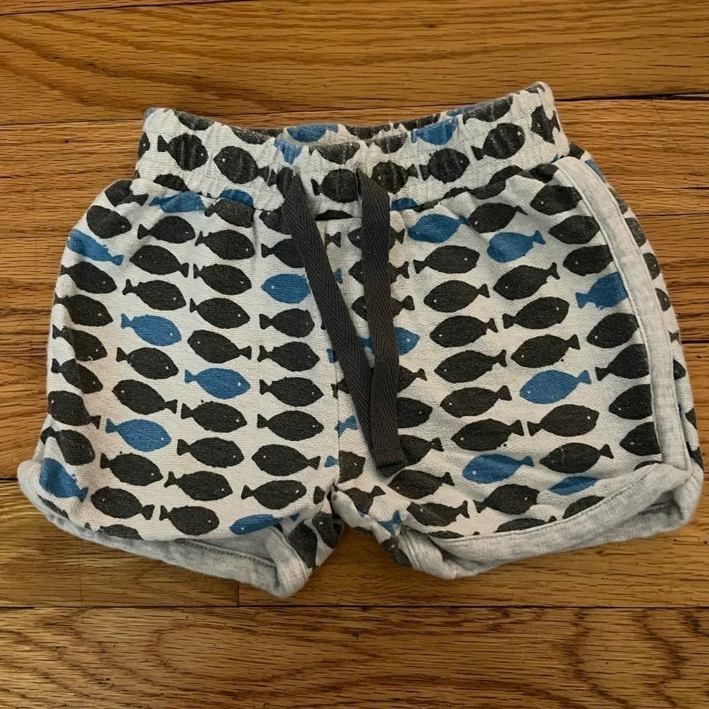 Stem | shorts and short sleeve shirt | baby boy 6mo